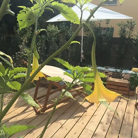 Arzilla Apartamento *