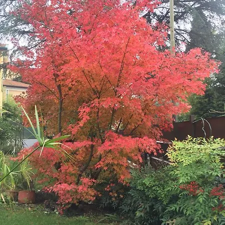 Lejlighed Arzilla Desenzano del Garda