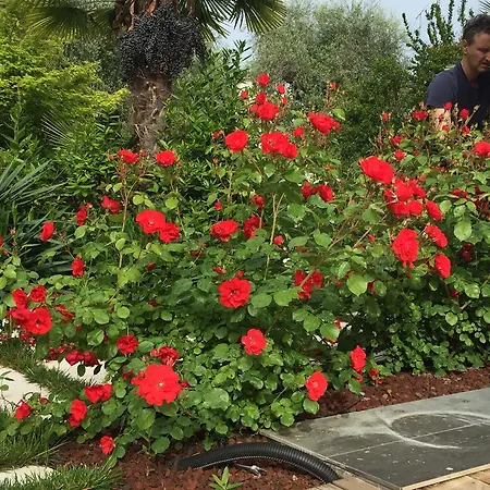 Lejlighed Arzilla Desenzano del Garda